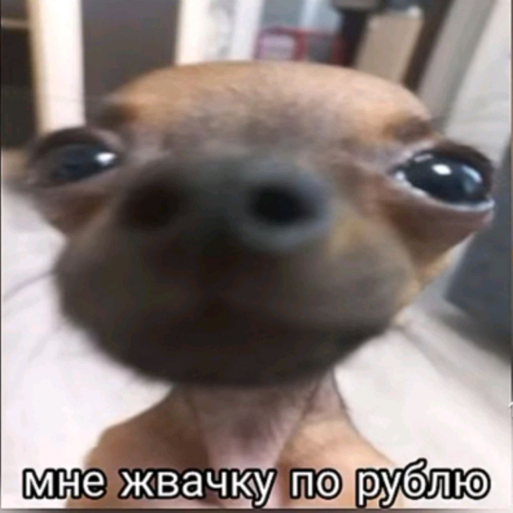 STANDOFF2