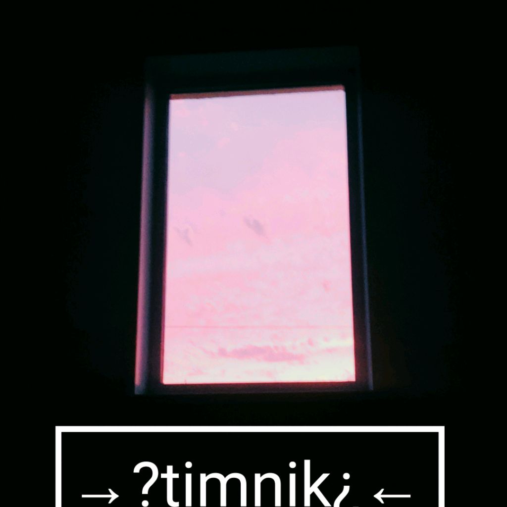 →?timnik¿←