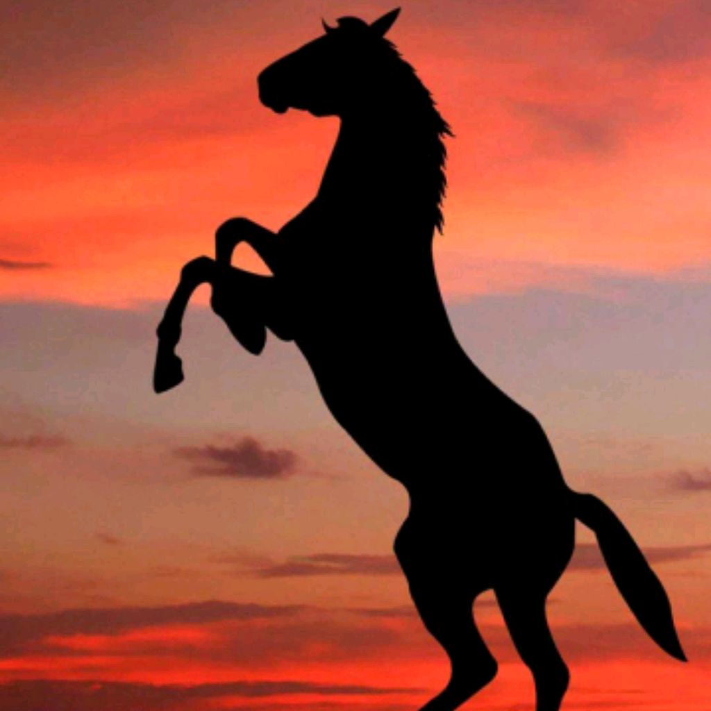 Ksusha I Horse🏇🏇🥇 Лошади Калекта