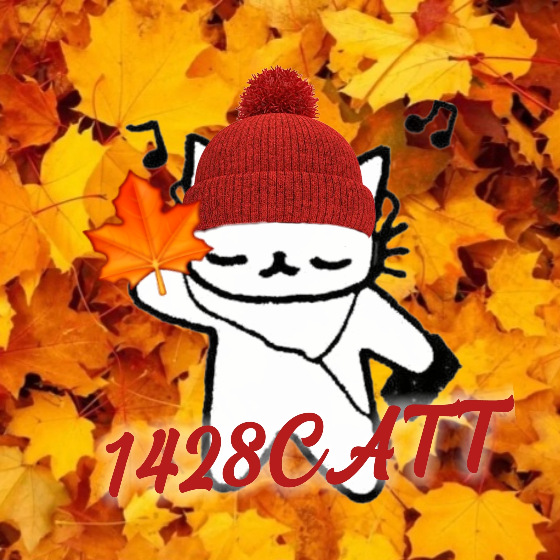 1428CATT