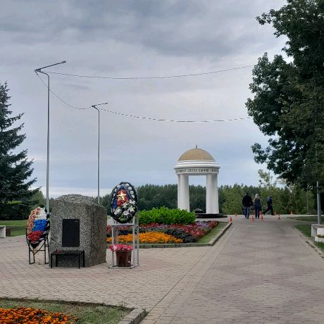 Dmitry7