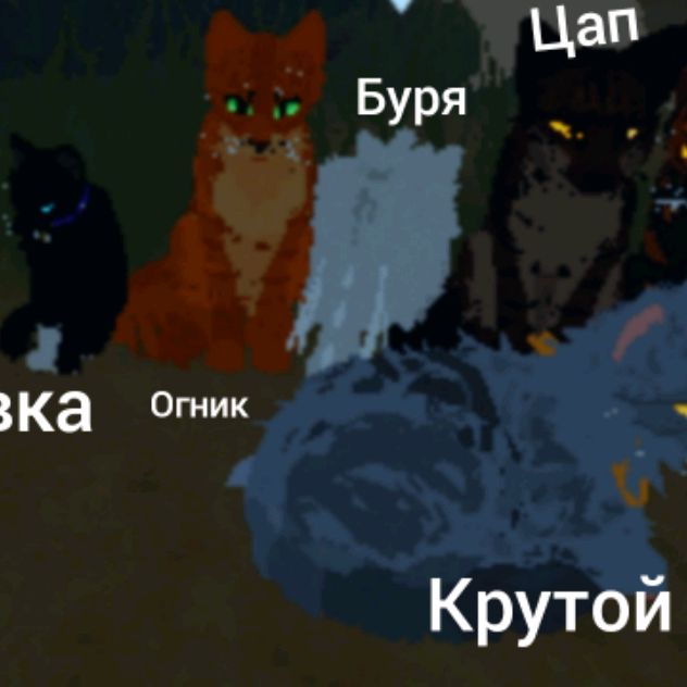 Снежный Барс и Ягуар