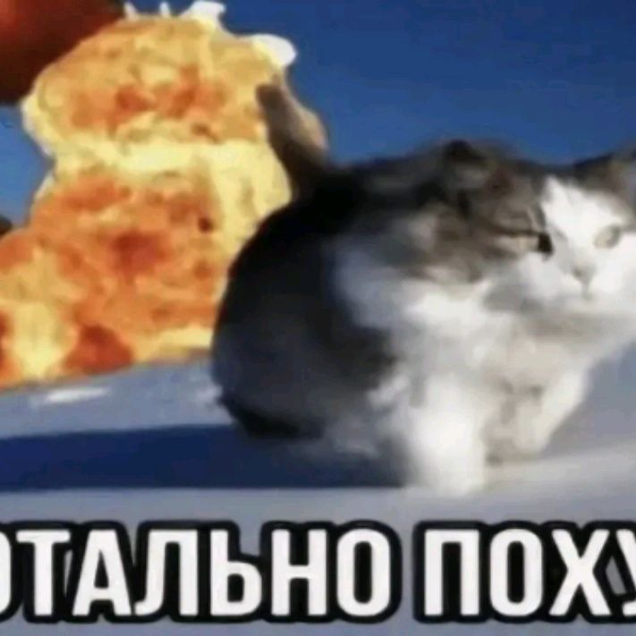 Totalno Poxyi