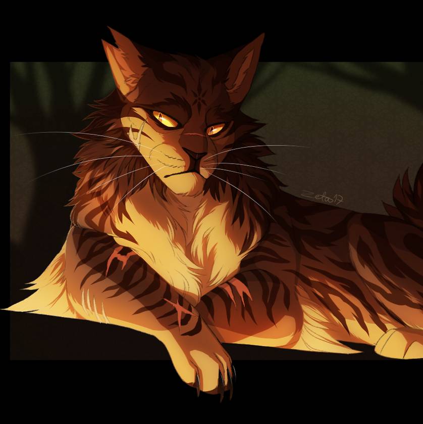 Busya_Cat6