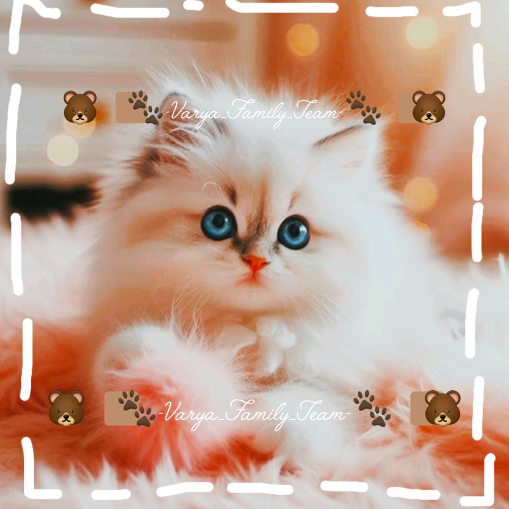 🐻🫶🏽🐾~Varya_Family_Team~🐾🫶🏽🐻