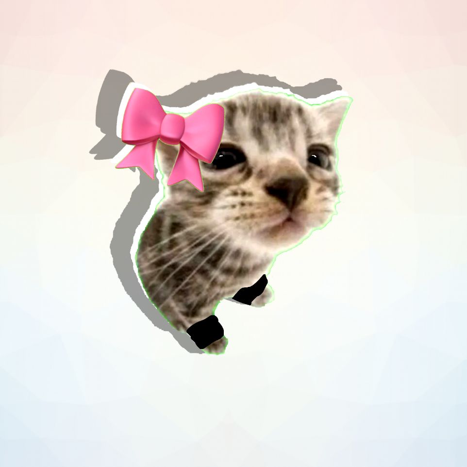 ~Kitti_ket~
