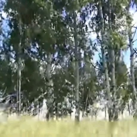 Олег
