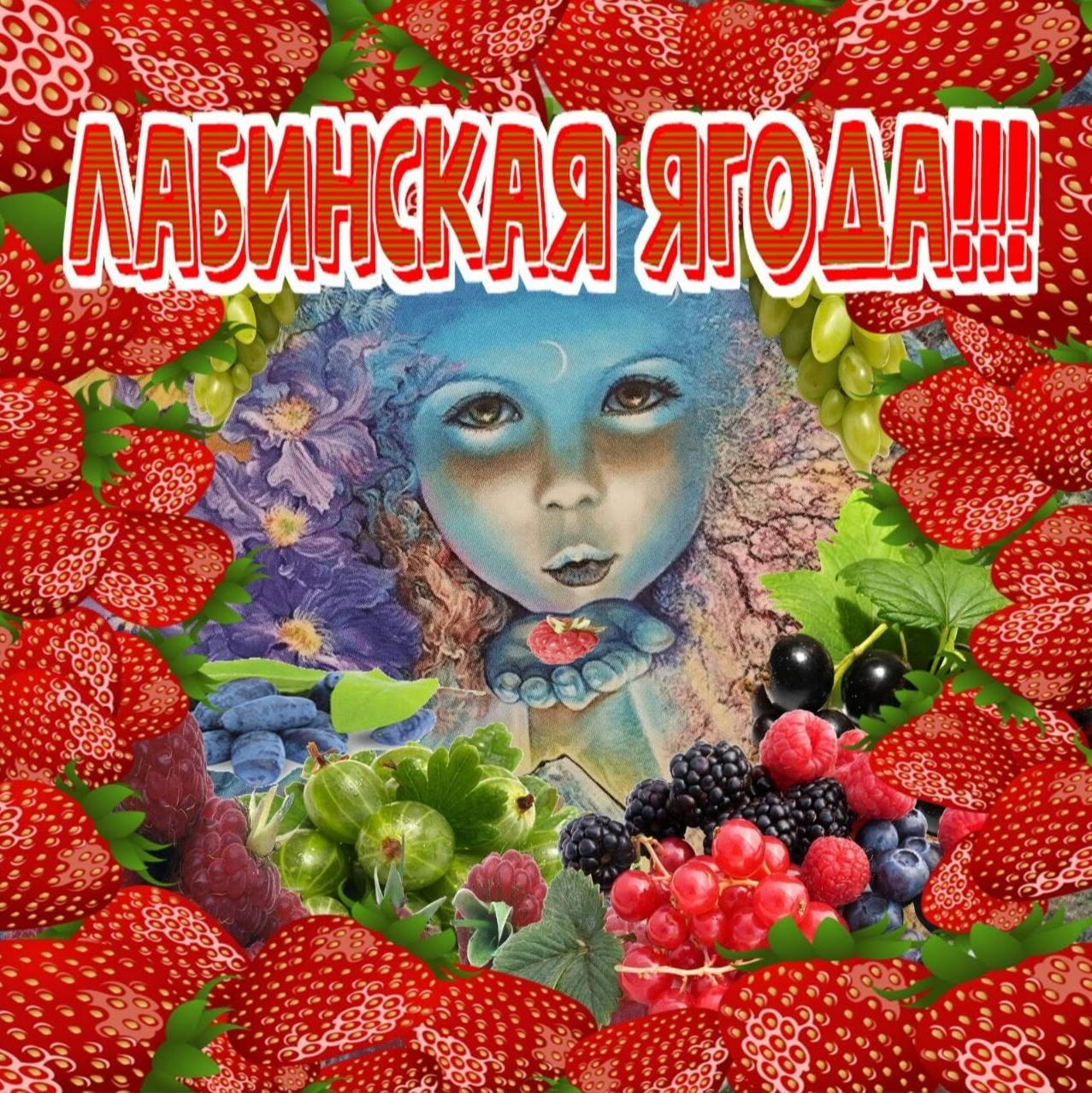 Лабинская ягода