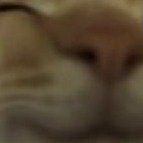 ,,,,,,,,