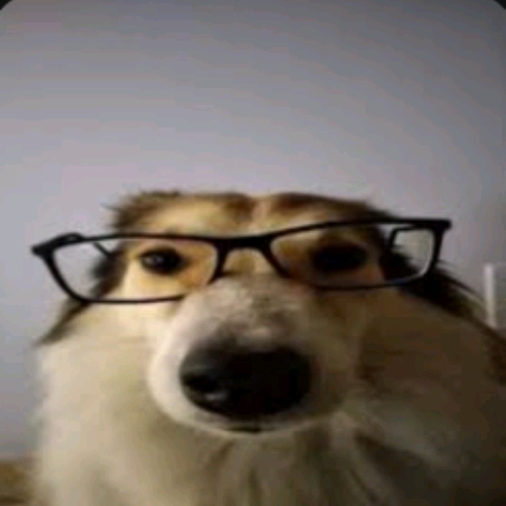 Doyz