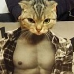 Maximus