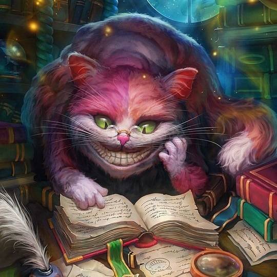 Книжный мир