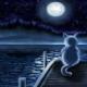 mooncat