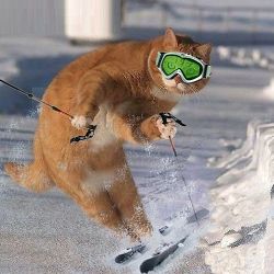 Призрачный лыжник