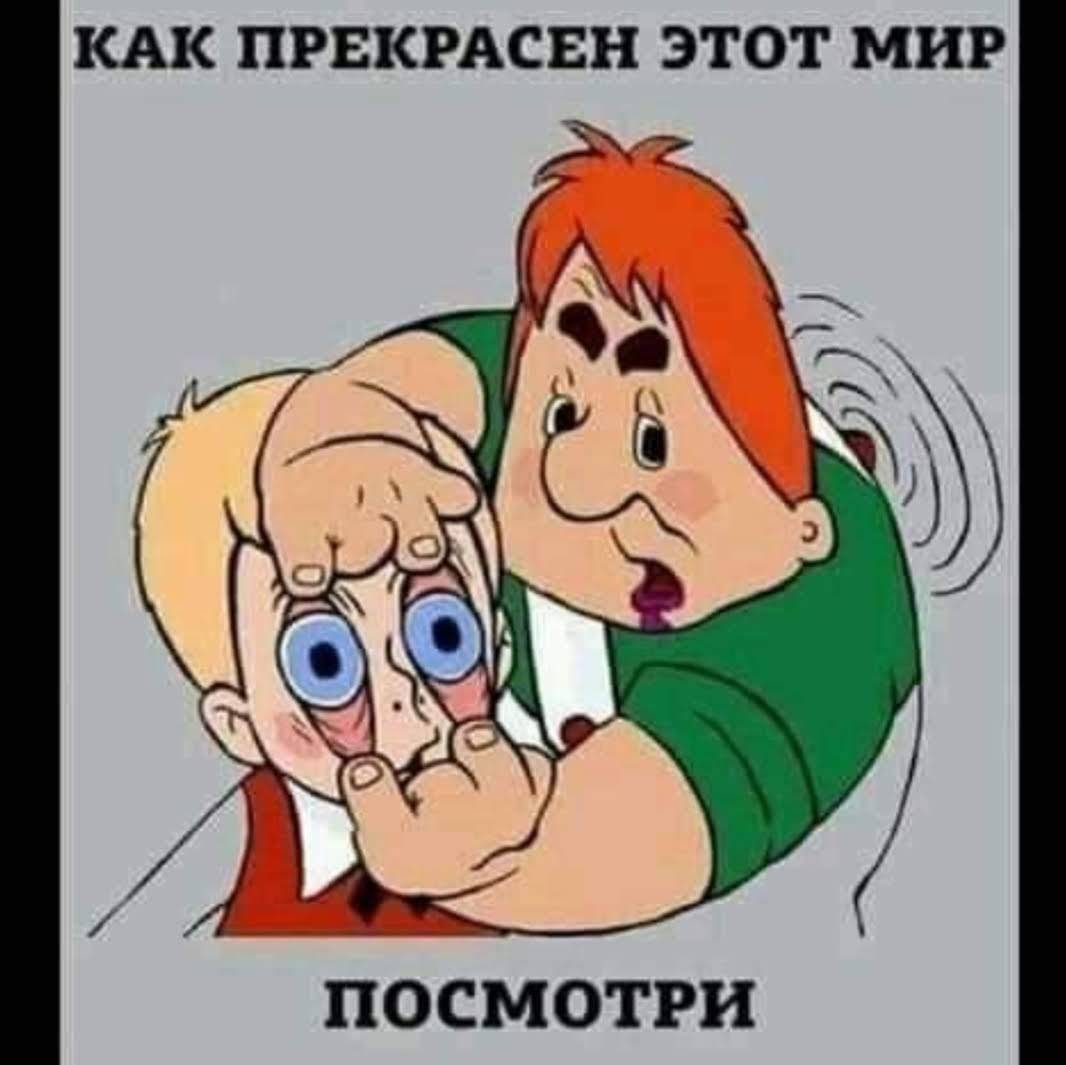 rutube_account_23665136