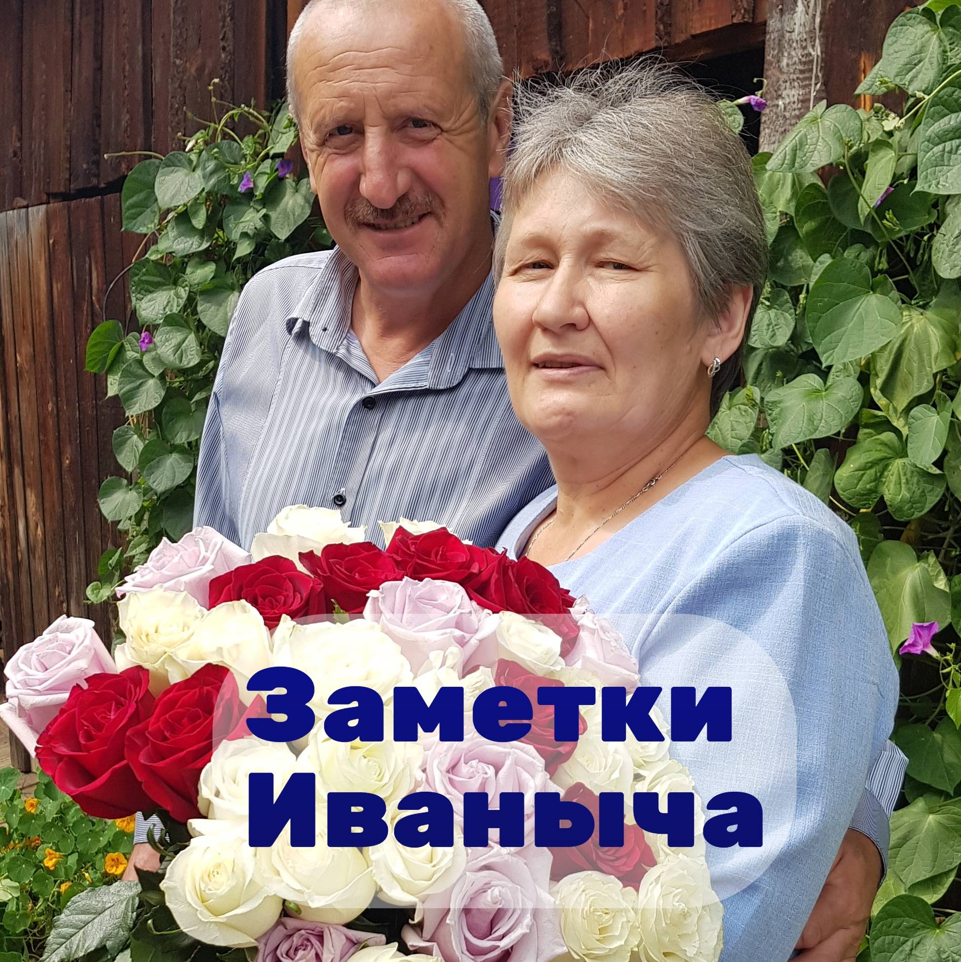 Заметки Иваныча