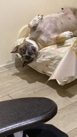 Юльчик