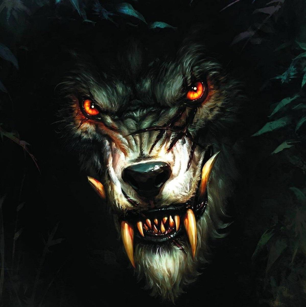Wolf?