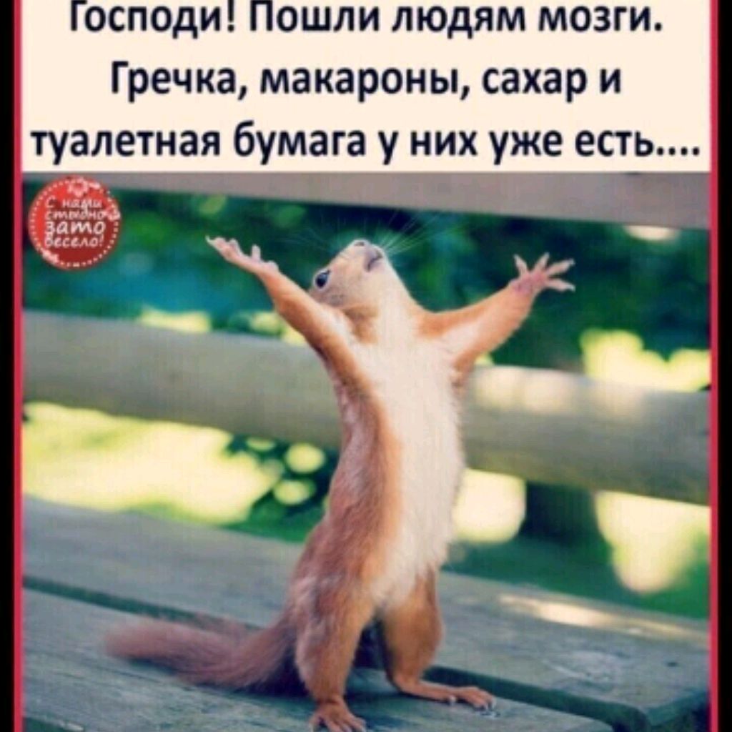 СерегаZ