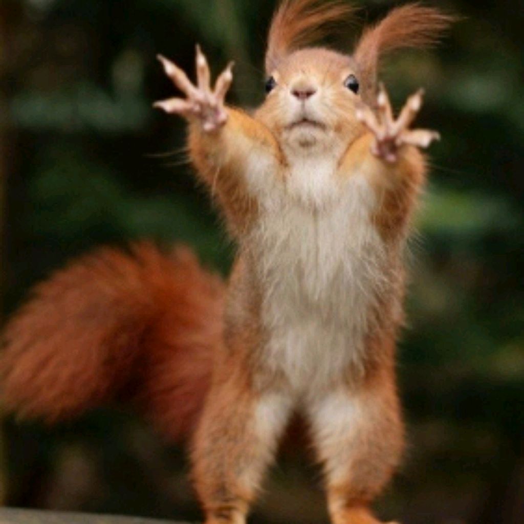Ололо