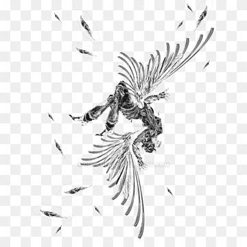 Icarus