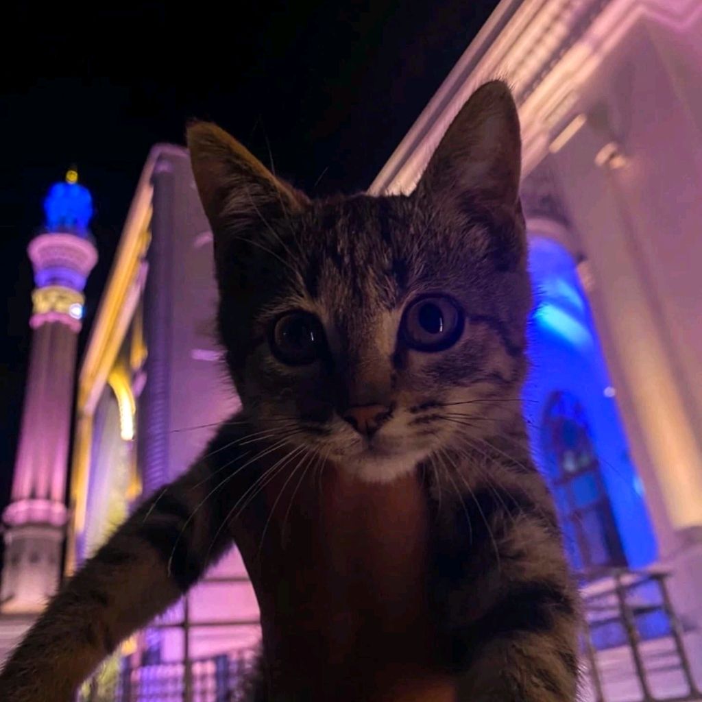 Мастер Ужаса
