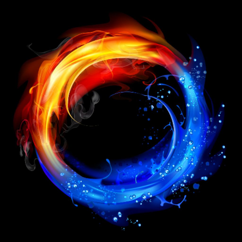 channel36029003