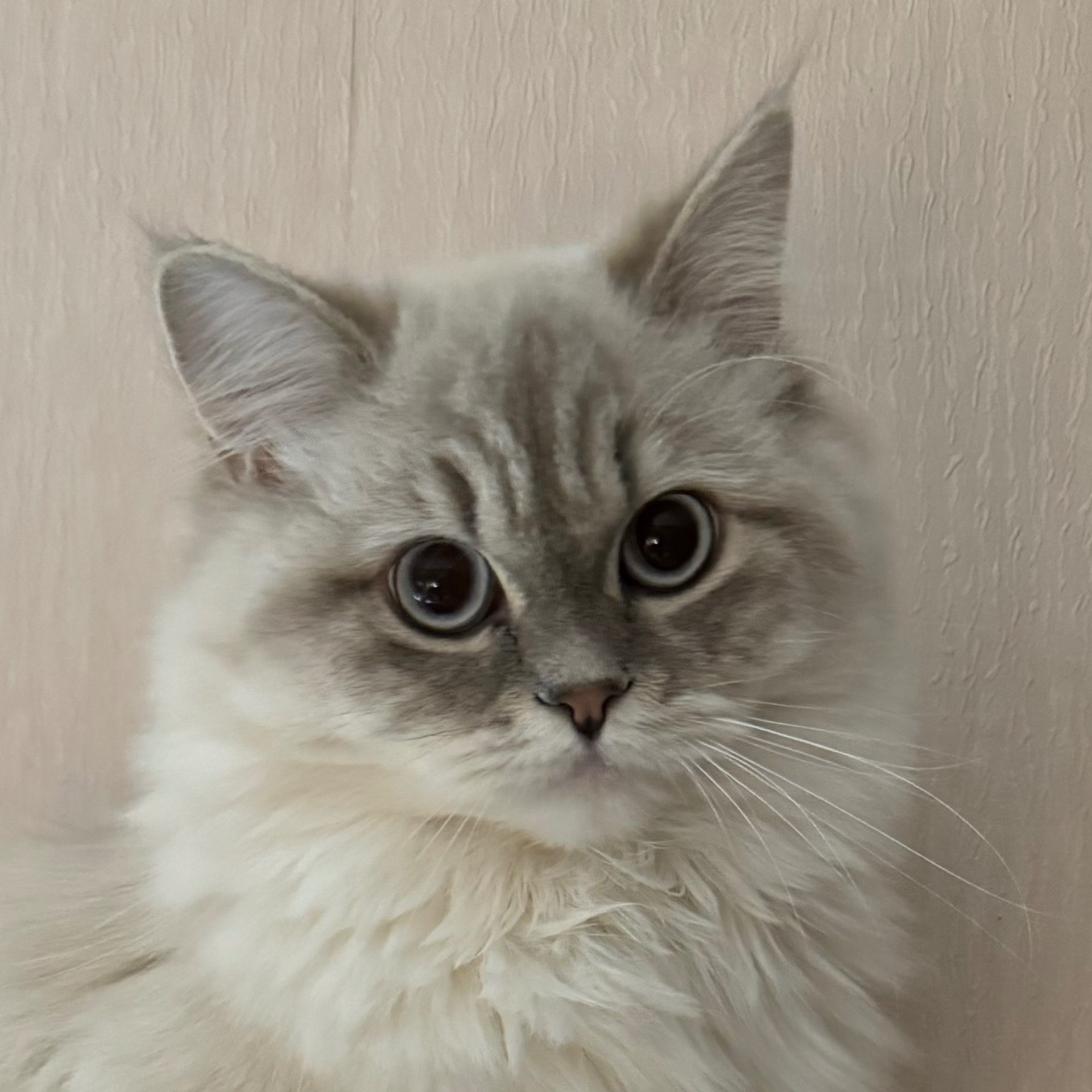 МАРИНА