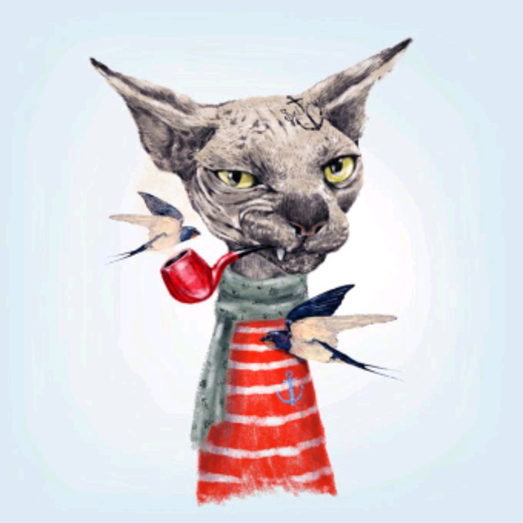 Kosikatz