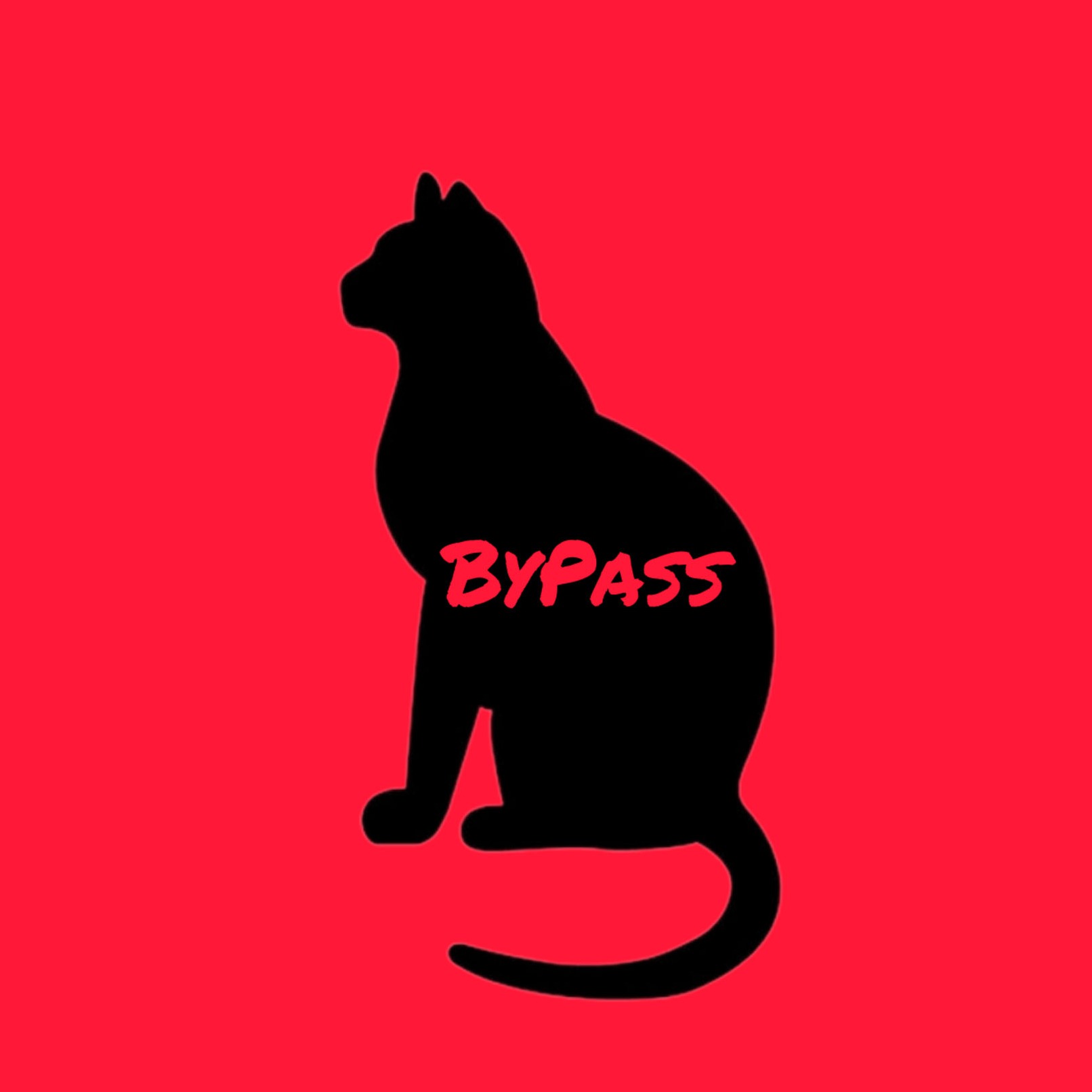 ByPass (Обход)