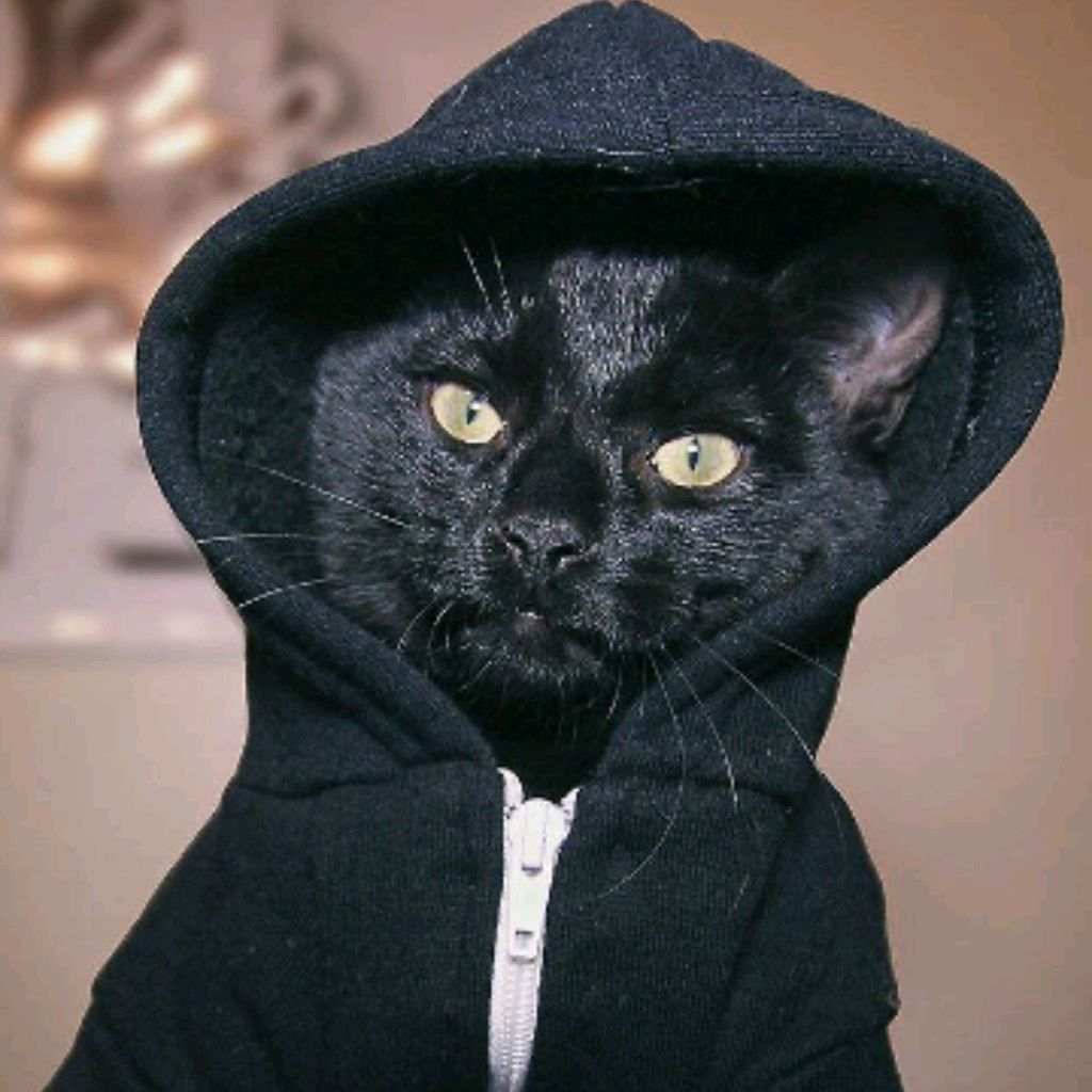 Полина