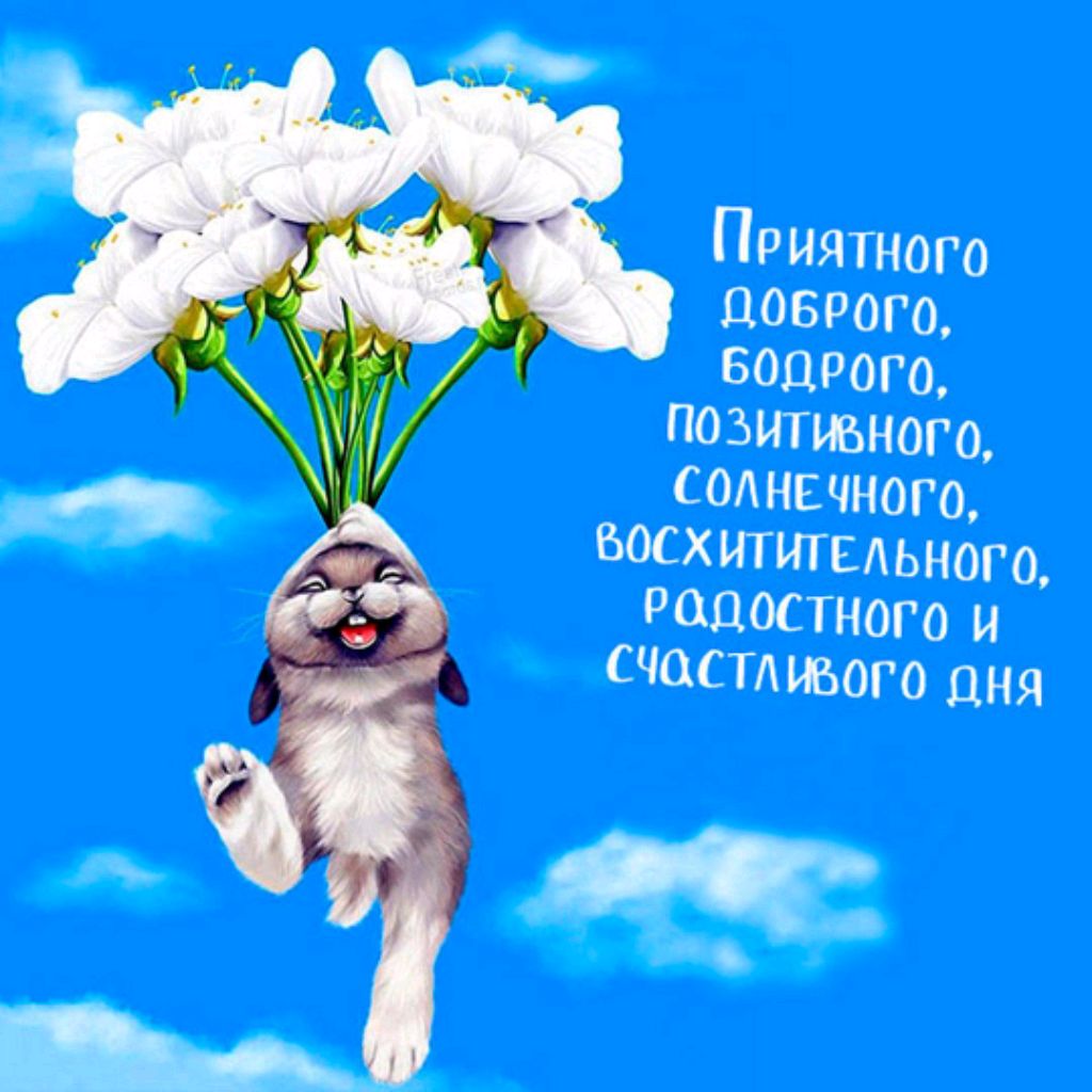 ДМИТРИЙ З. channel24487764