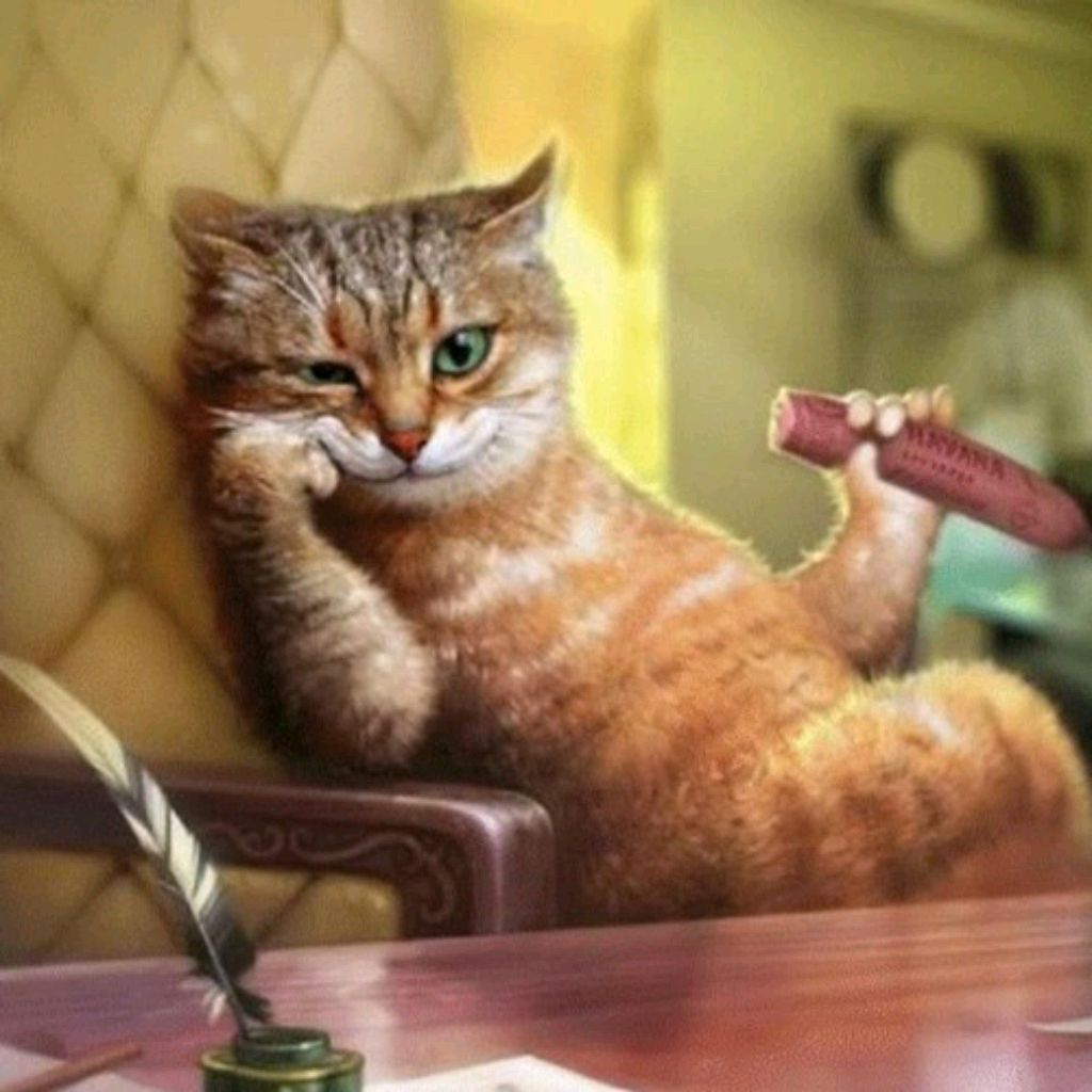 Mr_cat