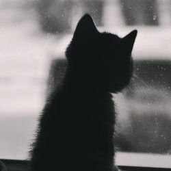 Куэллэ