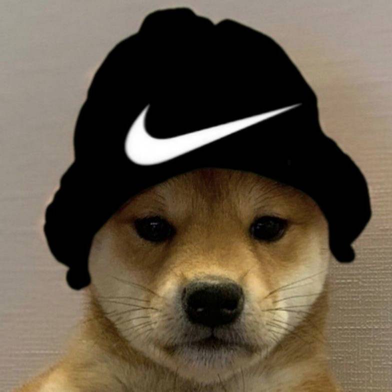Дрощ