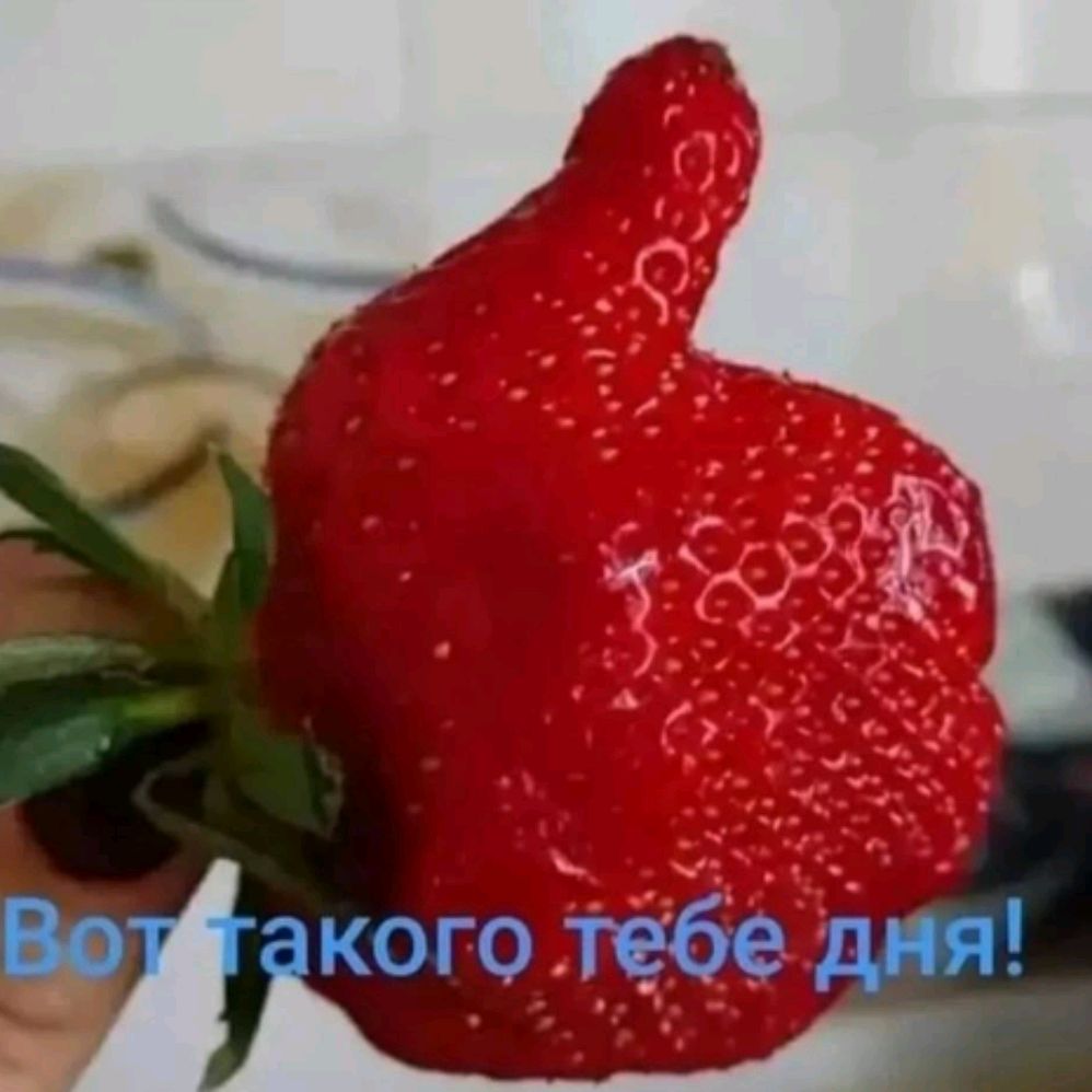 Иваныч ТВ