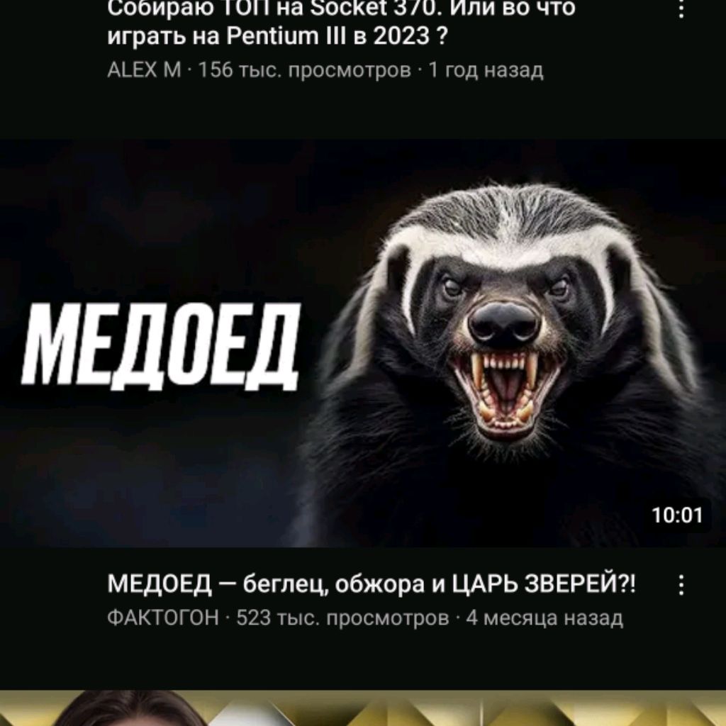 channel39218908