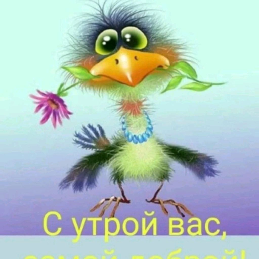 Иришечка Ивашечка