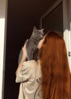 Аделя