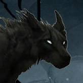 kvazitron