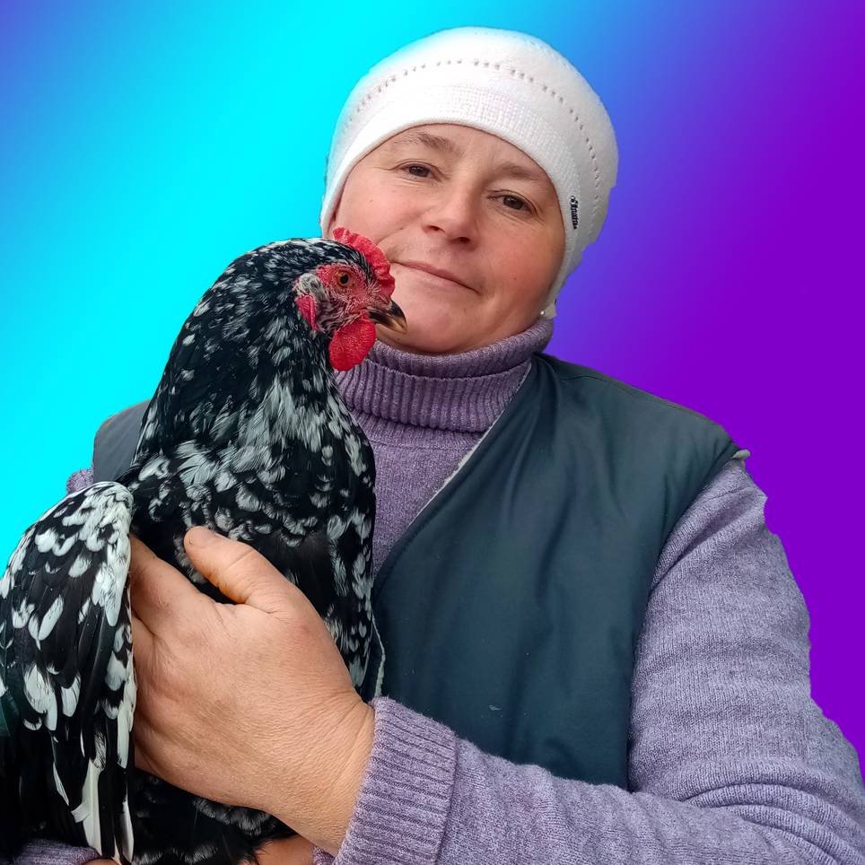 СВЕТЛАНА ЛУСТИНА