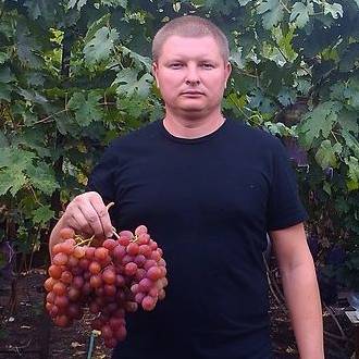 Владимир Маер