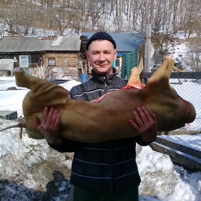 МИХАЛЫЧ