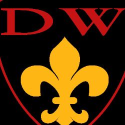 Одежда для собак DW
