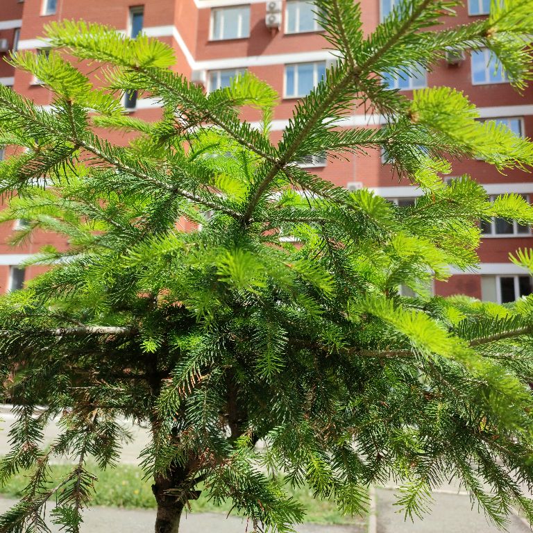 Виктория Рынкевич
