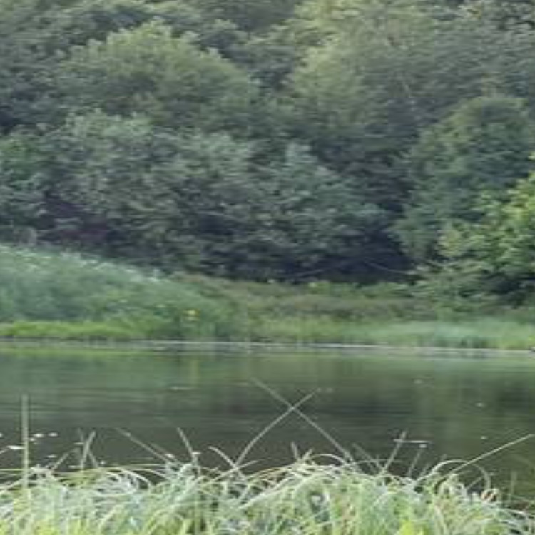 Baitcasting_fisher