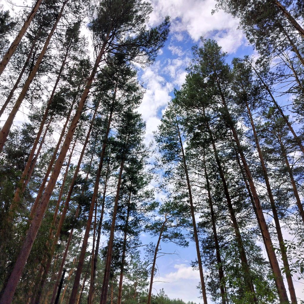 Солошка💜♥️💜