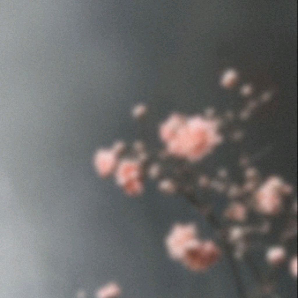 Evens