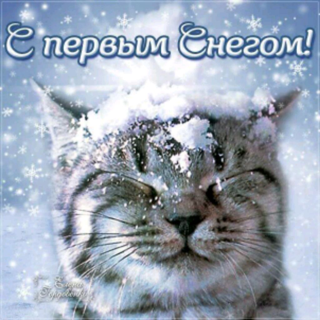Тигра лютая