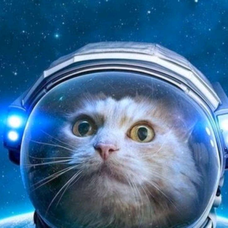 Астро-Кот 🪐
